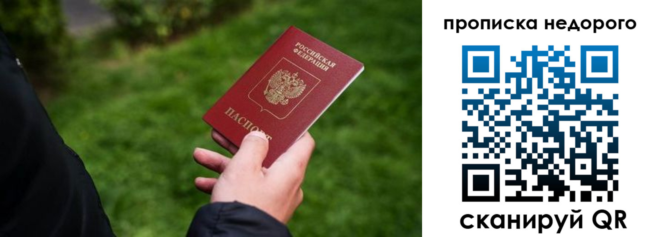 временная регистрация поиск в Шилке